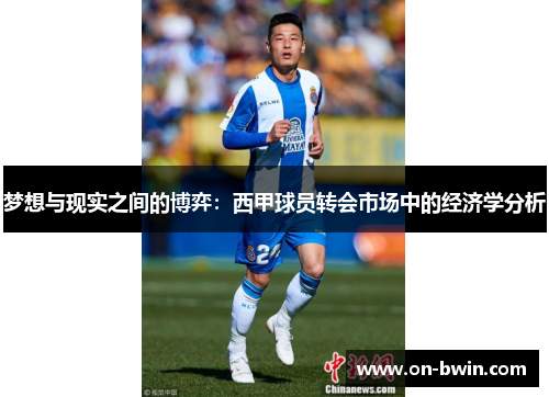 梦想与现实之间的博弈：西甲球员转会市场中的经济学分析