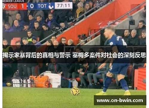 揭示家暴背后的真相与警示 塞梅多案件对社会的深刻反思