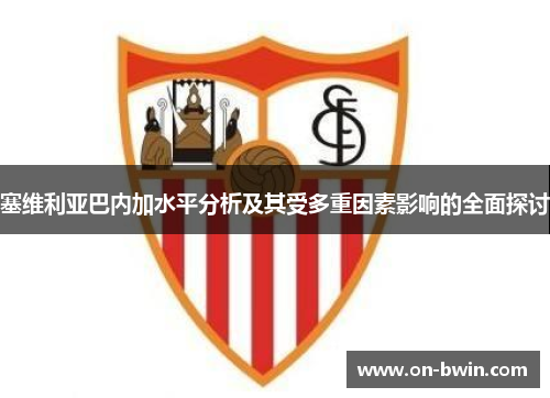 塞维利亚巴内加水平分析及其受多重因素影响的全面探讨