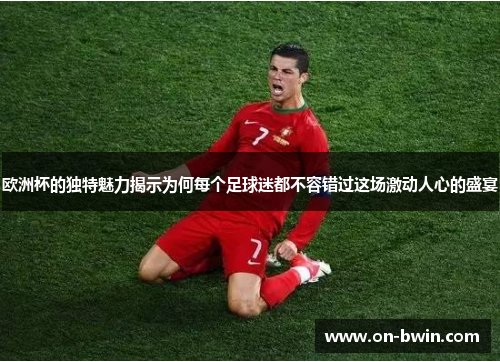 欧洲杯的独特魅力揭示为何每个足球迷都不容错过这场激动人心的盛宴